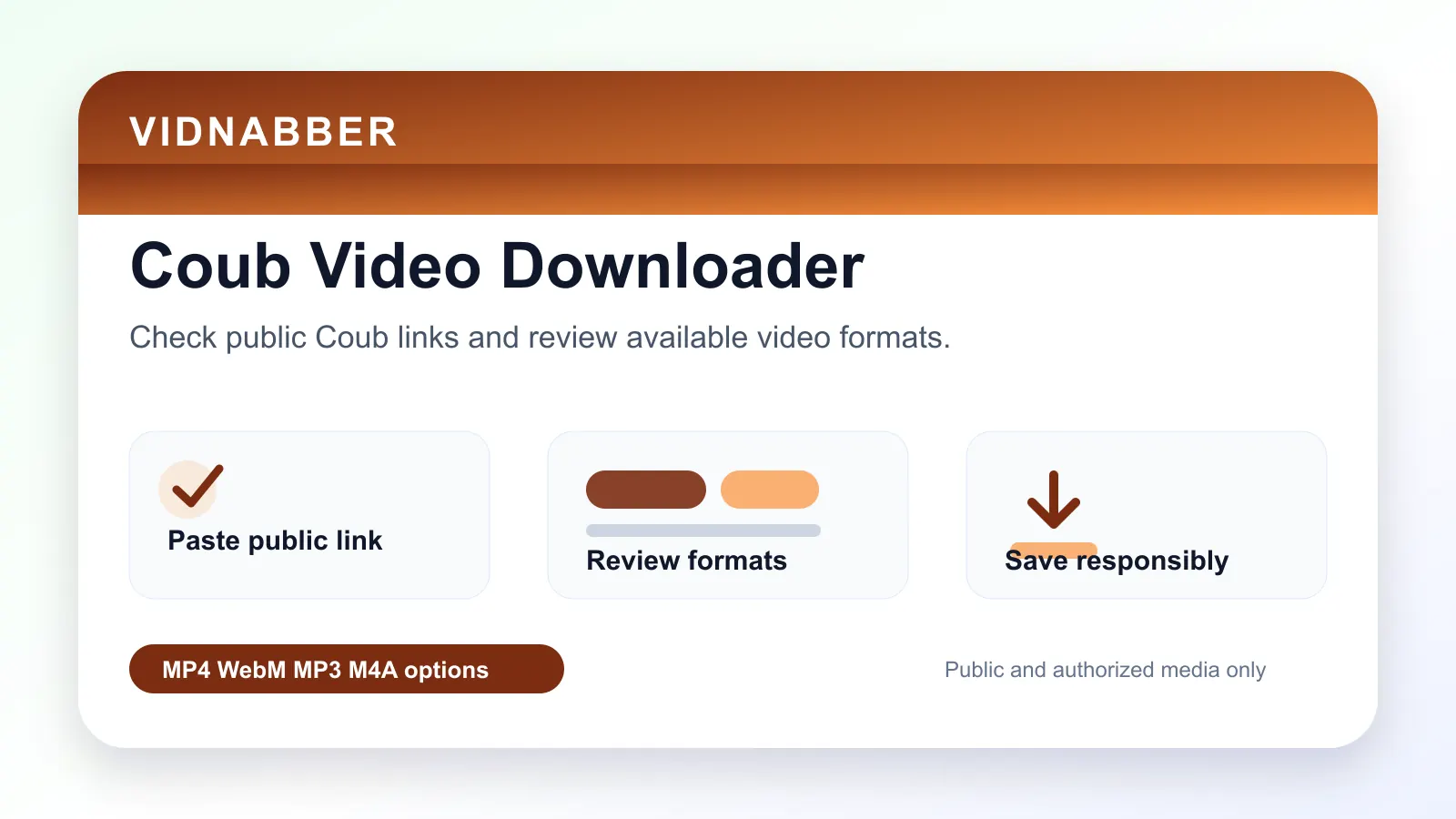 Coub downloader infographic showing copy public link, paste URL, review formats, and save video responsibly in a modern Vidnabber interface.