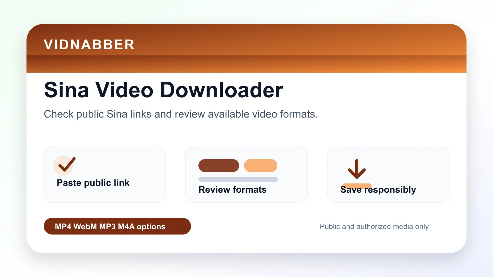 Sina downloader infographic showing copy public link, paste URL, review formats, and save video responsibly in a modern Vidnabber interface.