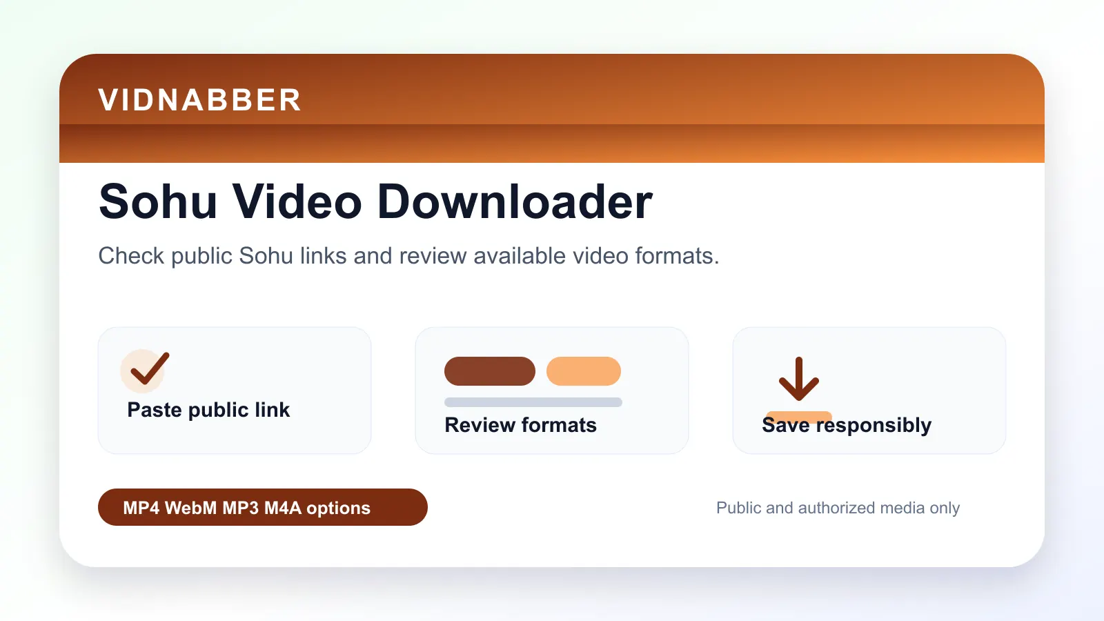 Sohu downloader infographic showing copy public link, paste URL, review formats, and save video responsibly in a modern Vidnabber interface.